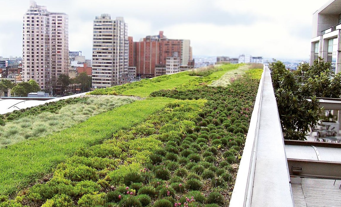 Green Roofing Systems for Sustainable Homes