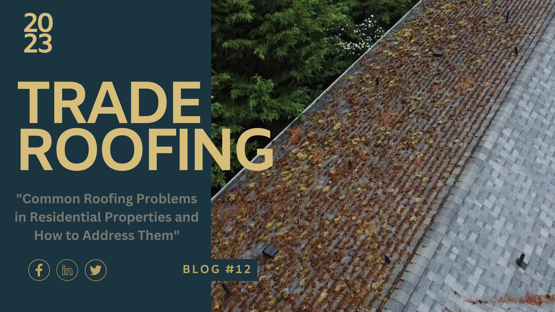 Common Roofing Problems in Residential Properties and How to Address Them
