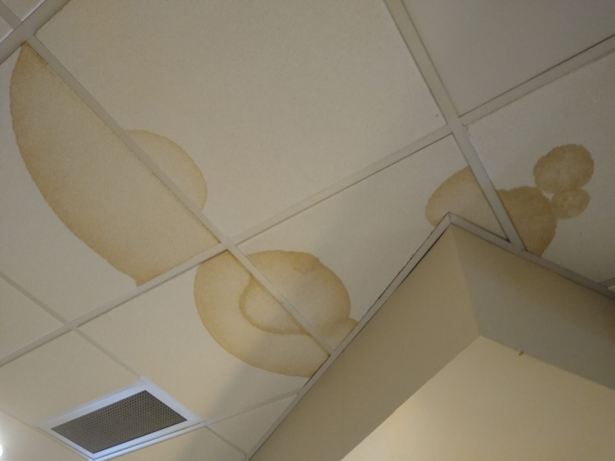 Ceiling tiles with excess humidity found on a leak inspection. Residential Roof Prevent and Deal with Roof Leaks in Washington's Rainy Season