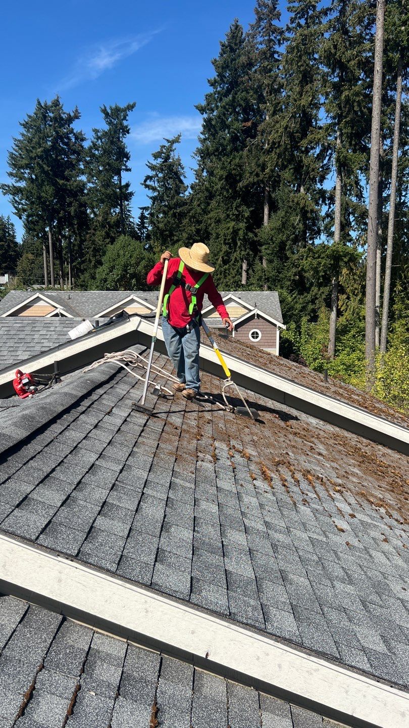 Trade Roofing worker cleaning a residential roof that is dirty with tree debris.
