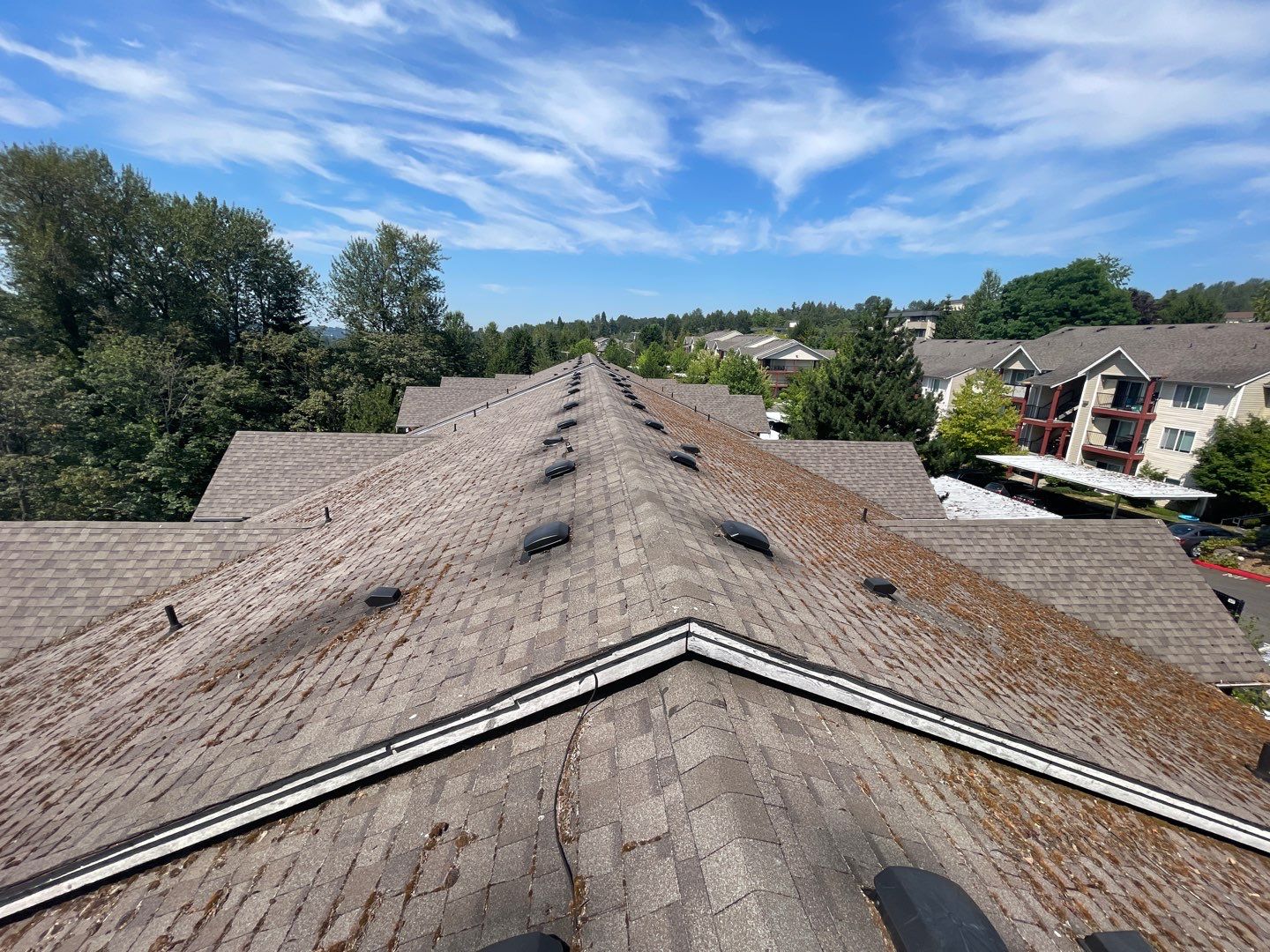 Residential Roof