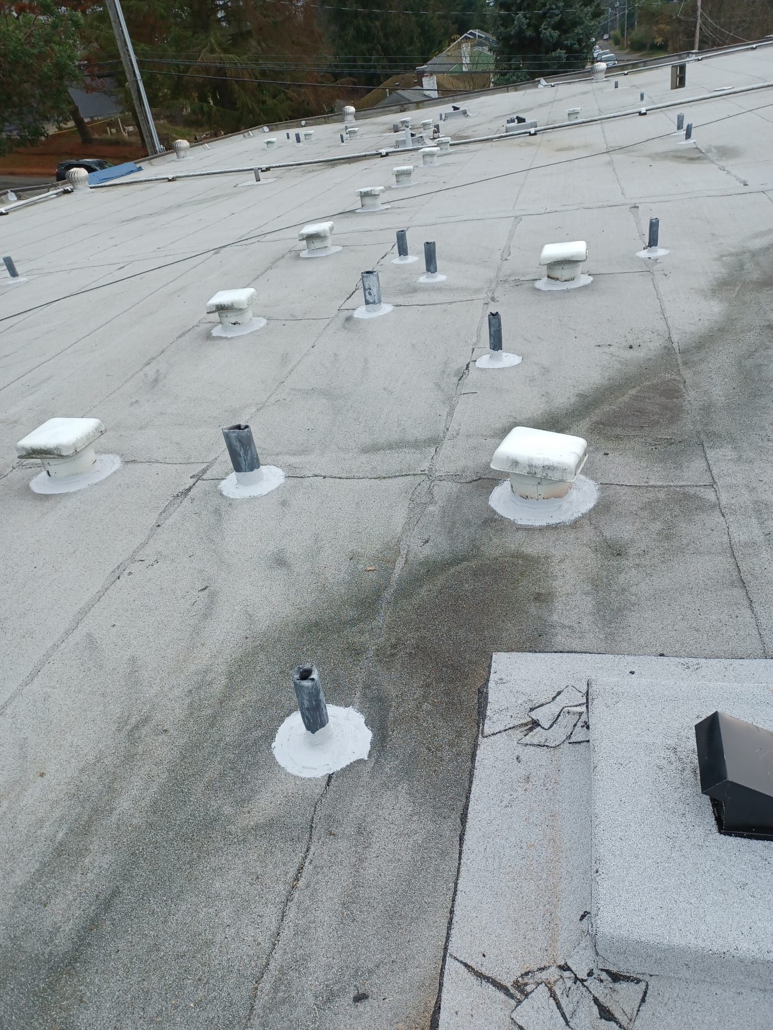 Commercial roof completed with maintenance in bellevue done. Several patches have been applied to penetrations.