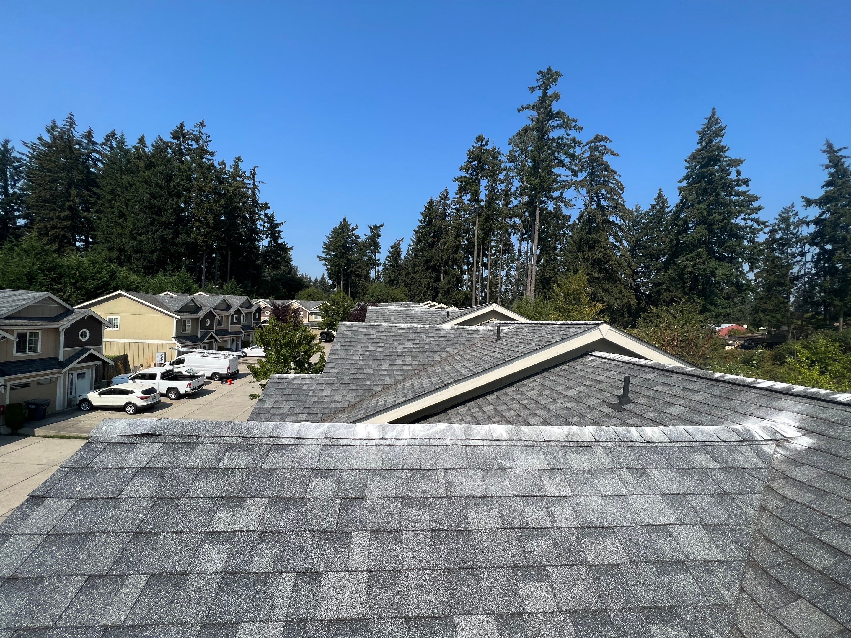 Clean residential roof with Moss kill Impact of roofing materials