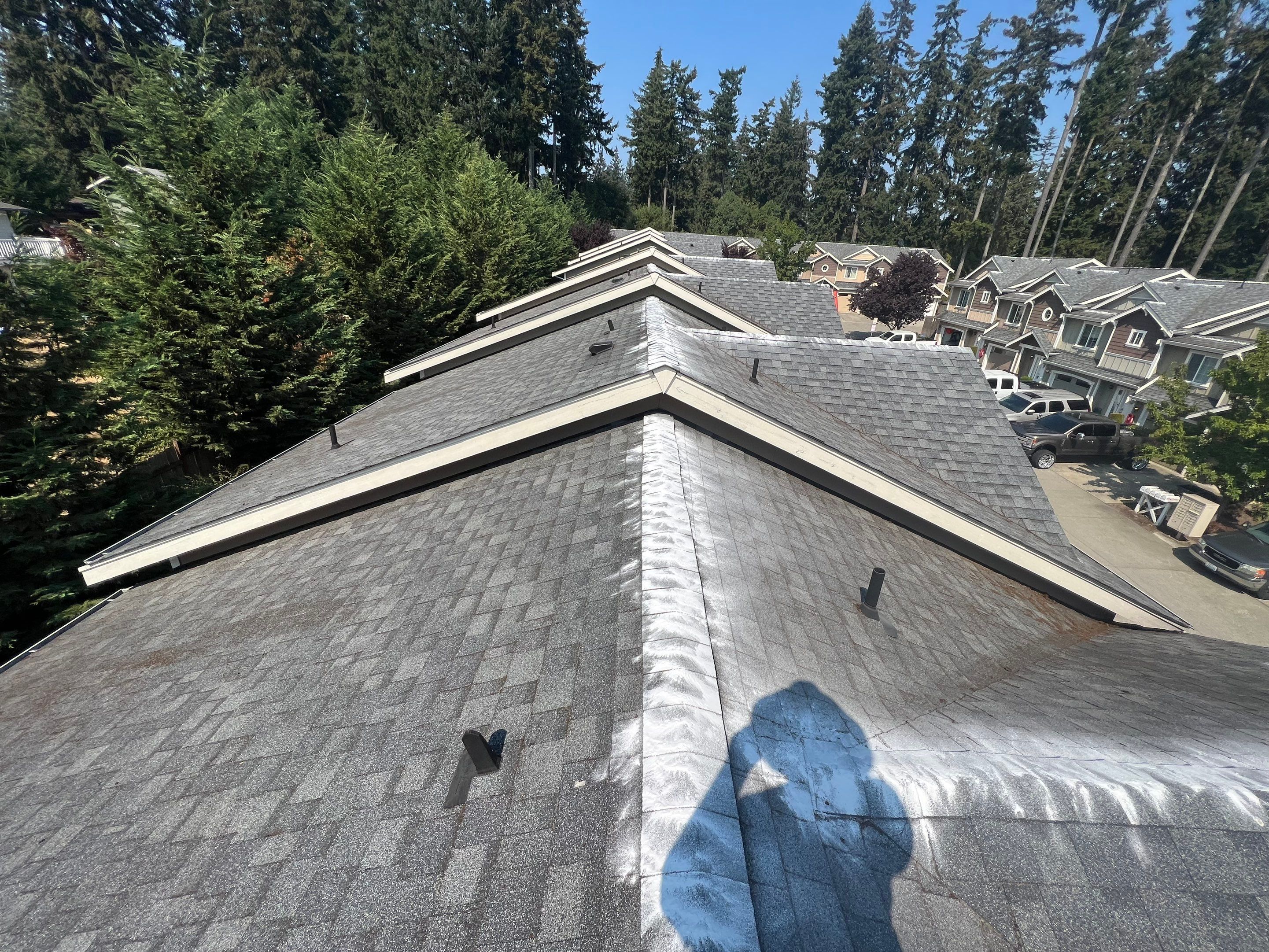 New roof after being cleaned with moss kill on the ridge