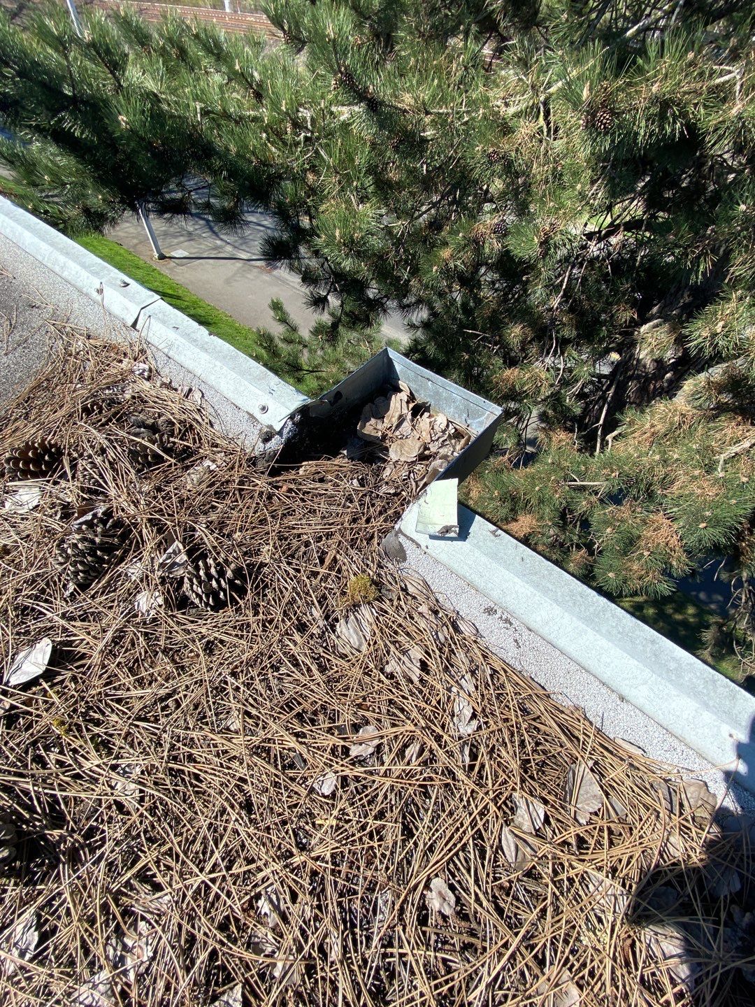 Gutters and drainage system full of debris and clogged up.