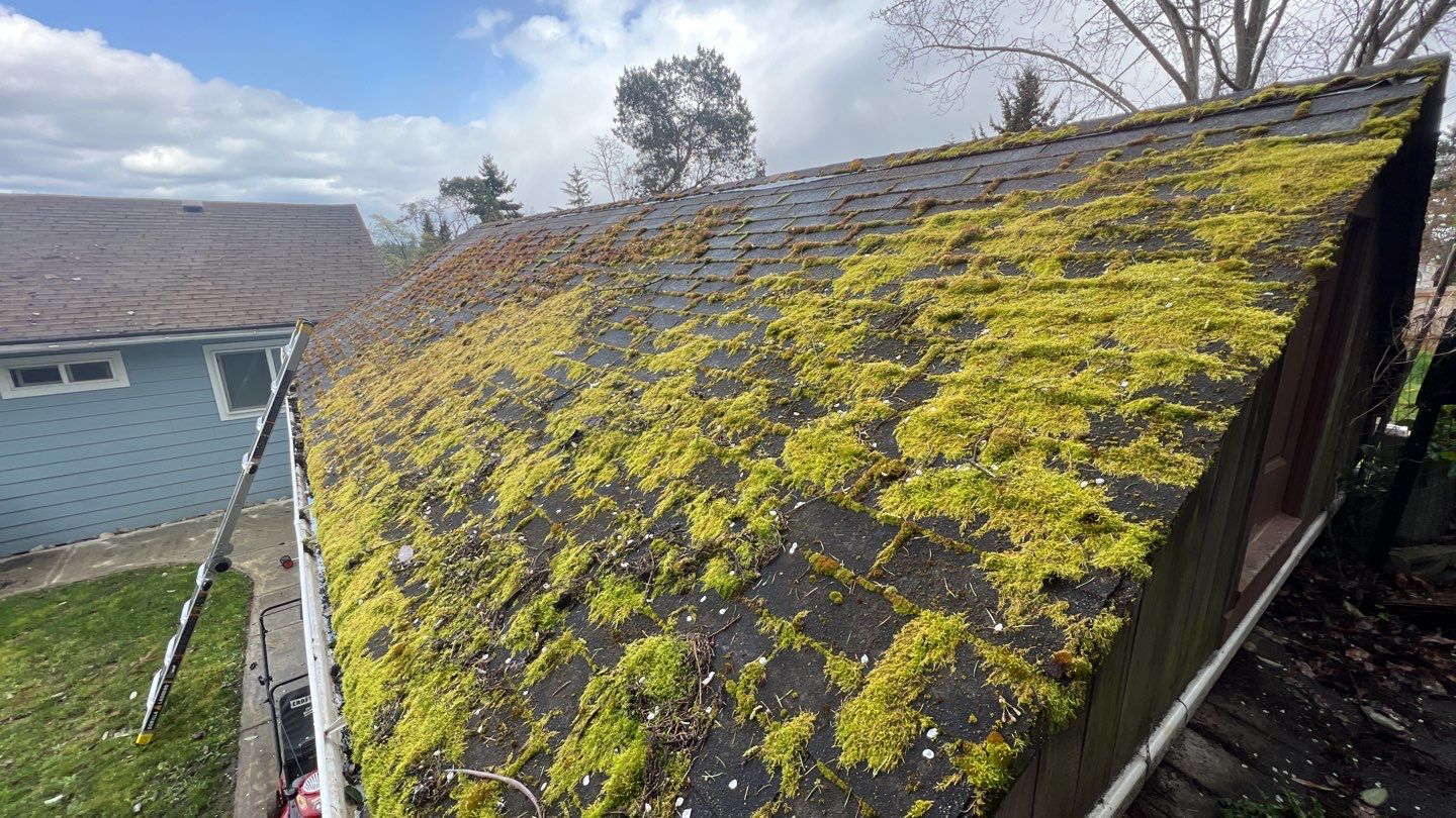 Residential Roof with moss