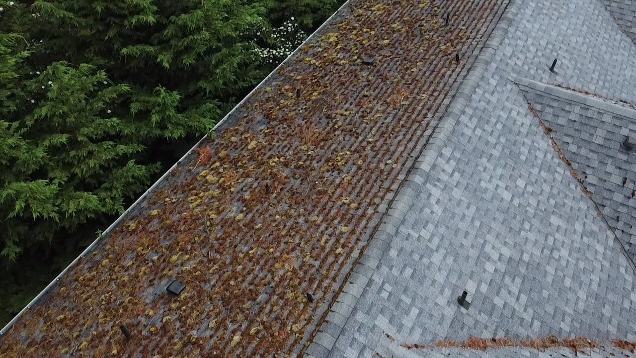 Half the residential roof dirty with excess moss in. Taken from drone shot.
