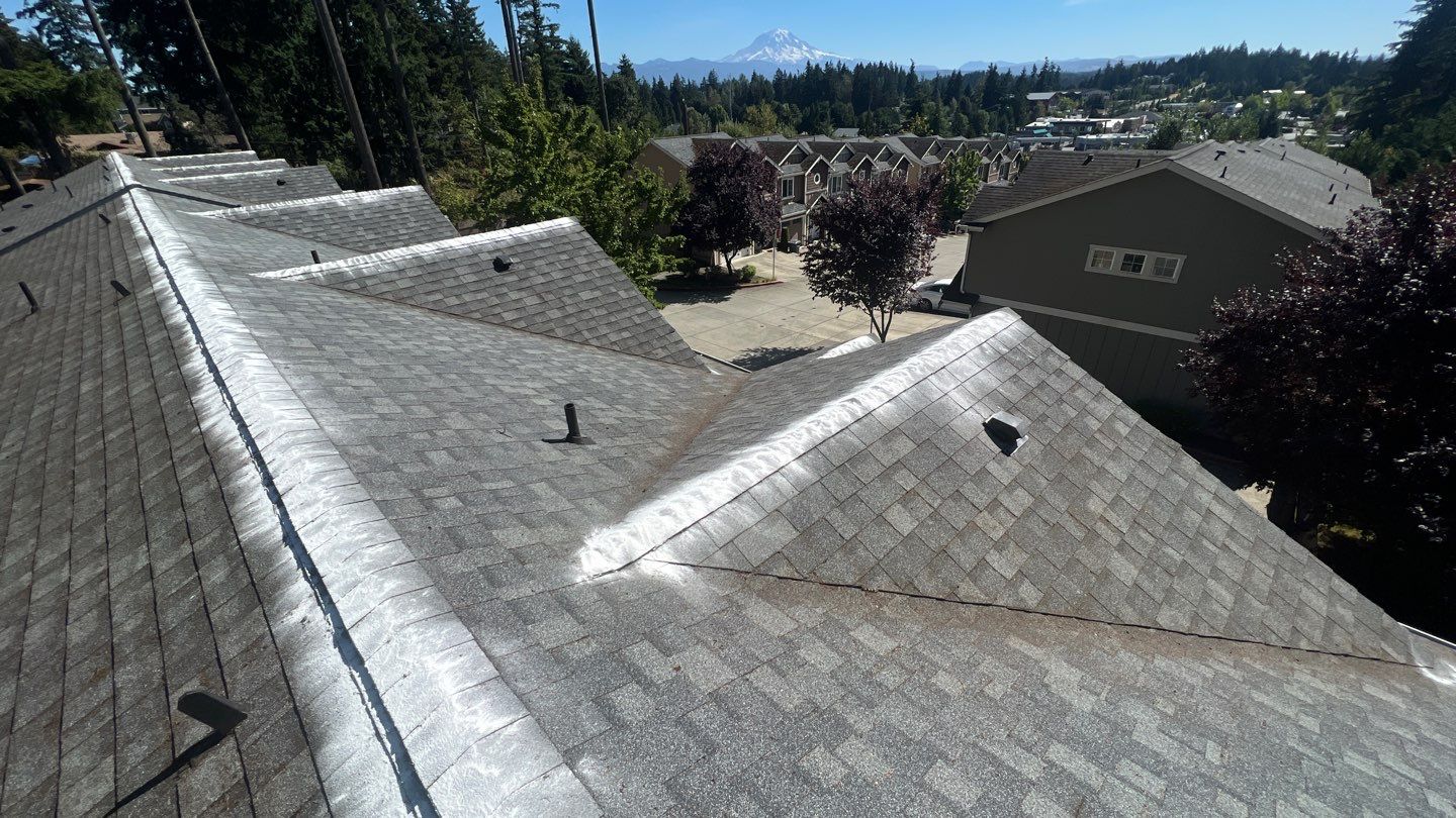 Residential Roof cleaning in federal way done with moss kill on the ridge.