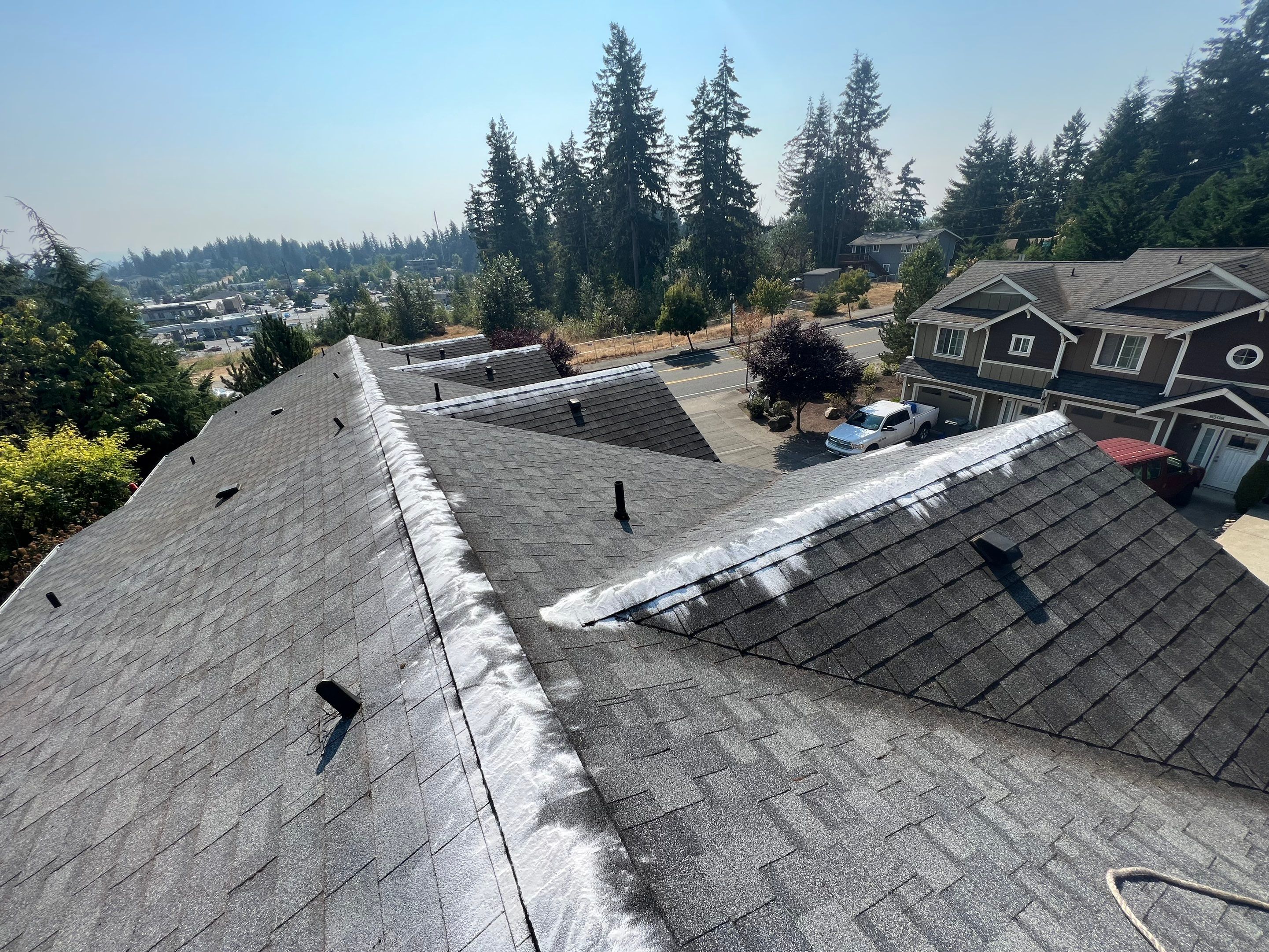 Clean residential roof with Moss kill