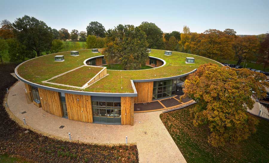 Green Roofing Systems for Sustainable Homes