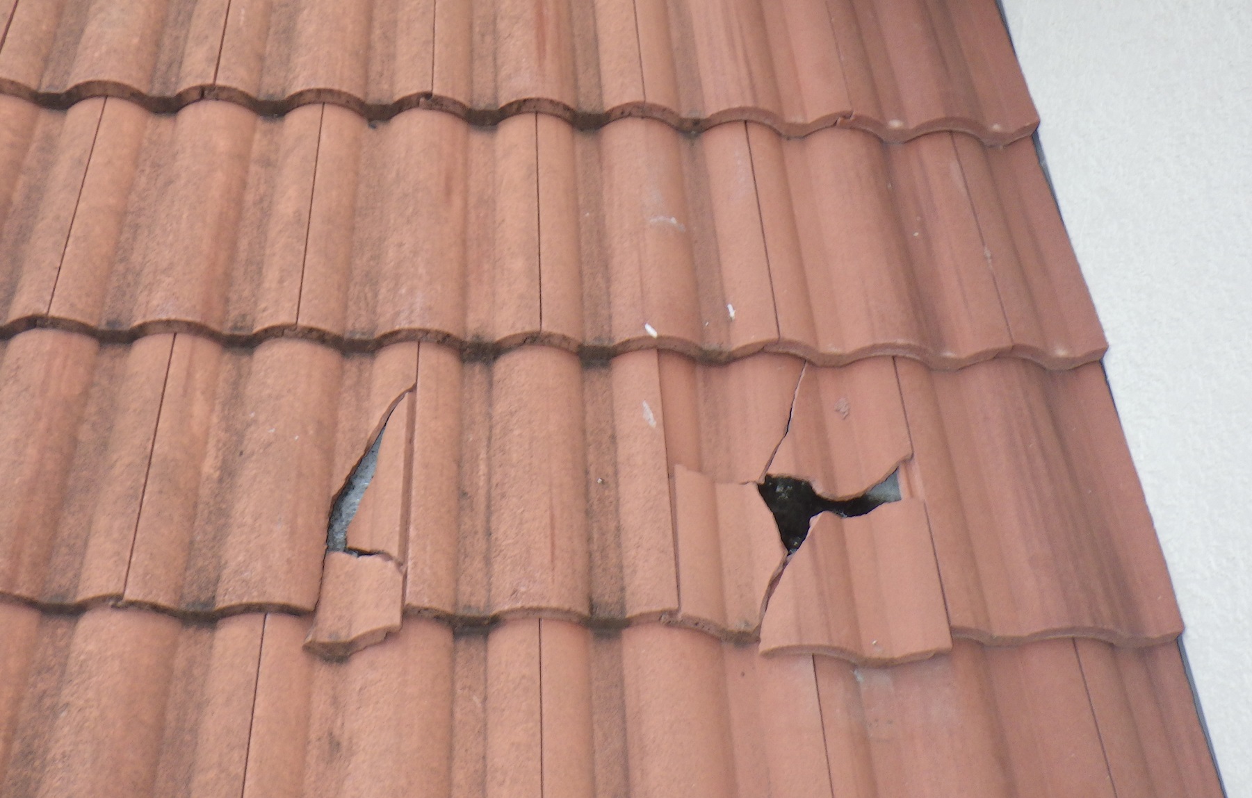 Cracked Roof Tiles