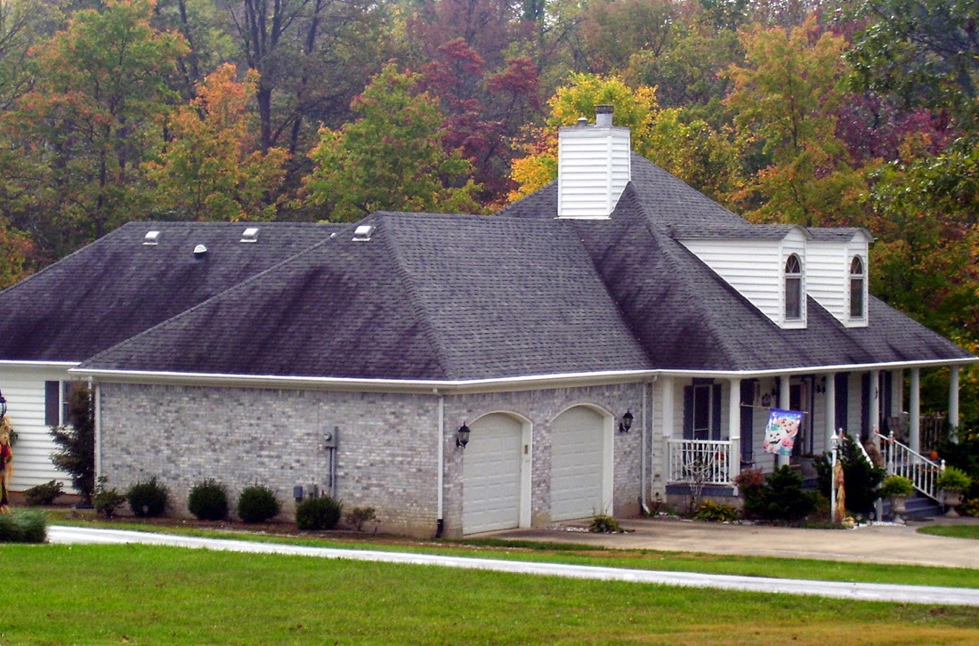 Getting Rid of Mold on Your Roof