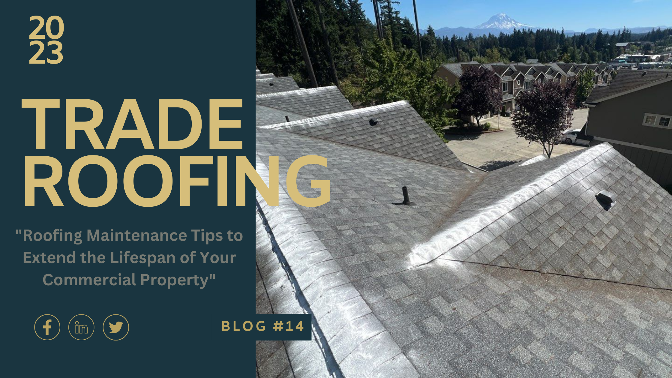 Roofing Maintenance Tips to Extend the Lifespan of Your Commercial Property