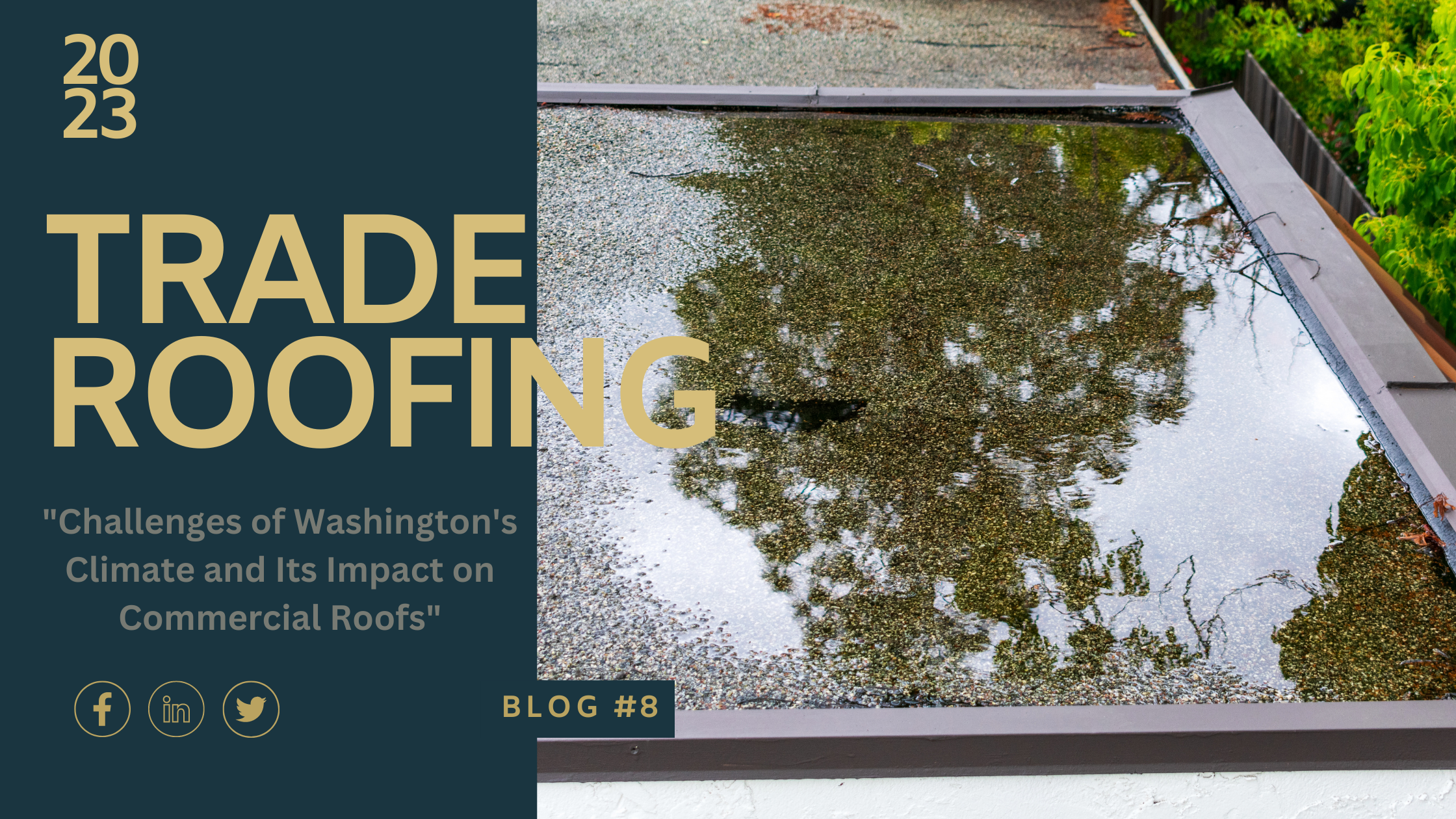 Challenges of Washington's Climate and Its Impact on Commercial Roofs