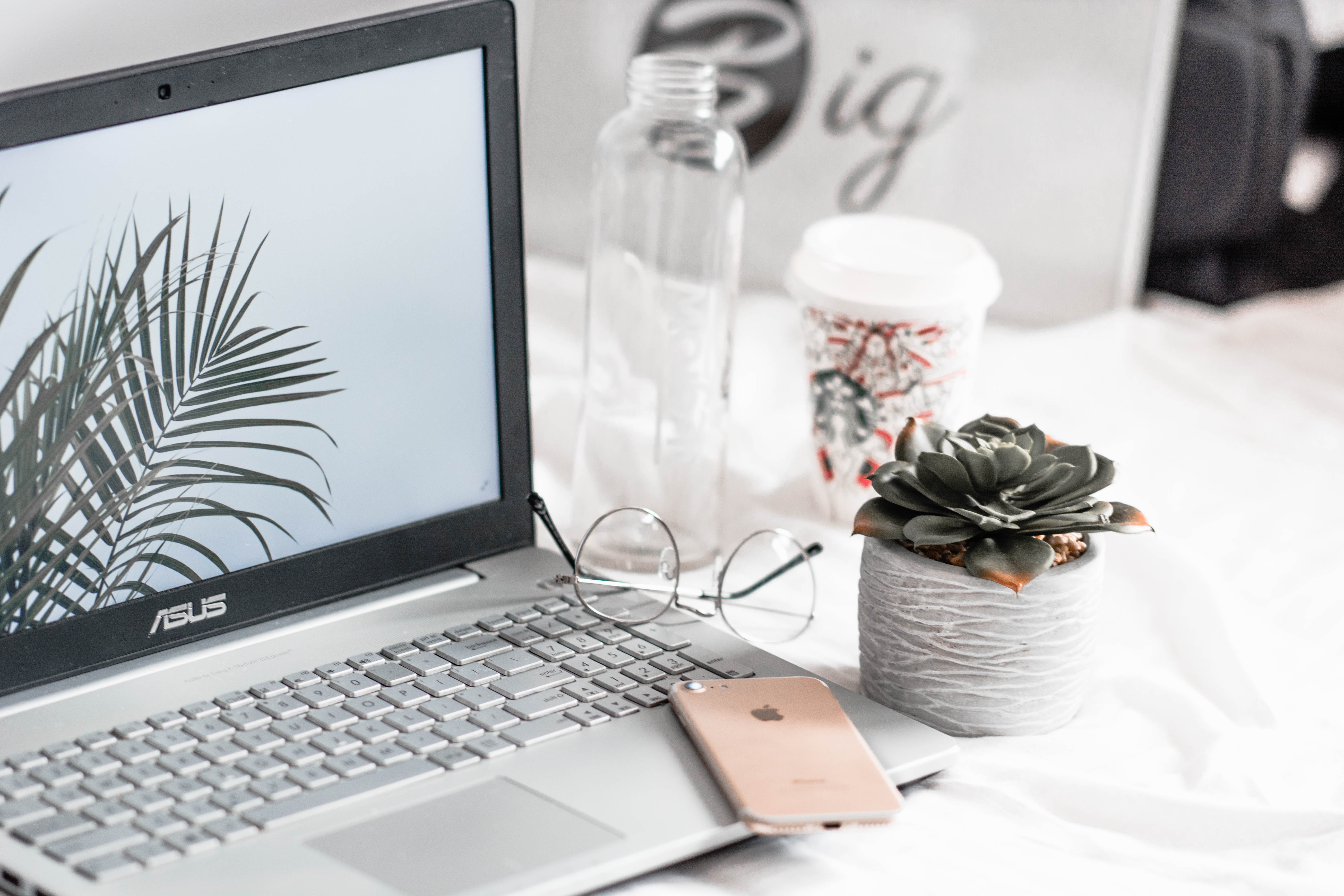 Computer with plants on the side.