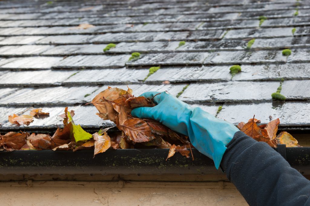 Seasonal Roof Maintenance