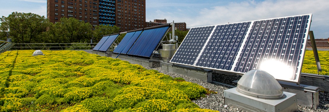 Green Roofing Systems for Sustainable Homes